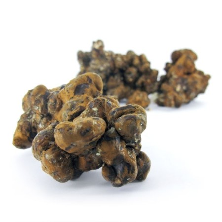 Pandora Magic Truffels kopen | Mush Magic