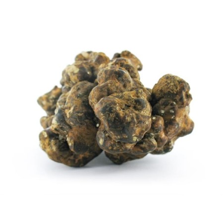 Pandora Magic Truffels kopen | Mush Magic