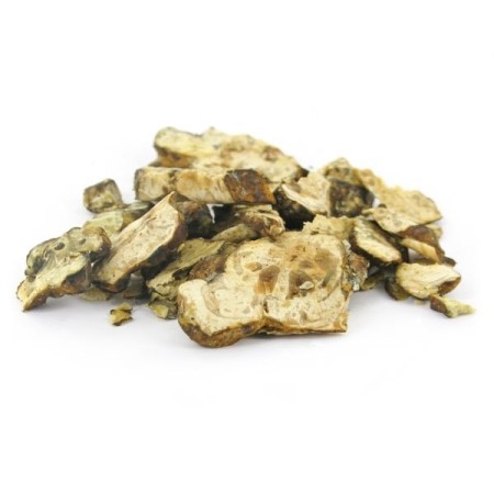 Pandora Magic Truffels kopen | Mush Magic