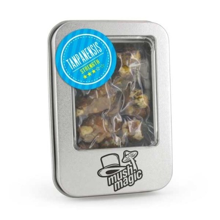 Tampanensis Magic Truffels kopen | Mush Magic