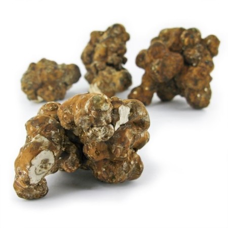 Magic Truffels Utopia kopen | Mush Magic