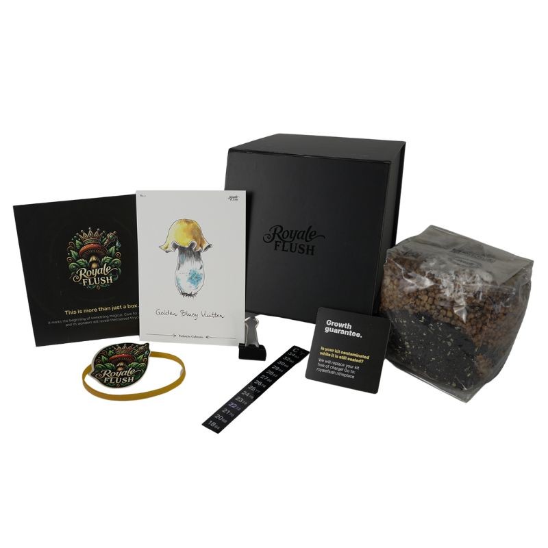 Paddo Kweekkit | Golden Bluey Vuitton 1200cc | Royale Flush