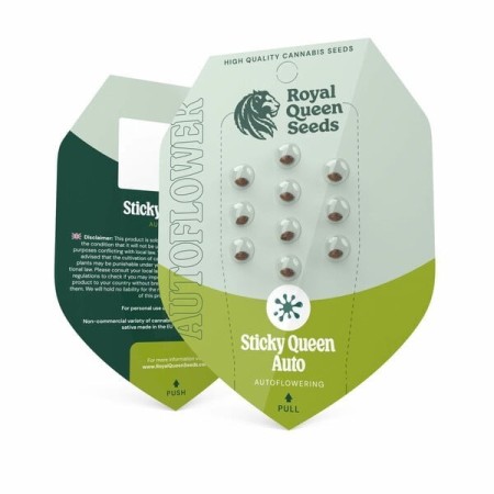 Sticky Queen | Autoflowering | Royal Queen Seeds