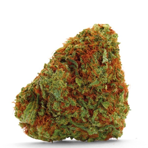 Bubblegum x Fat HOG | Growerschoice Seeds | Feminized