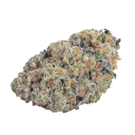 Double donny burger | Feminized | Growerschoice Seeds