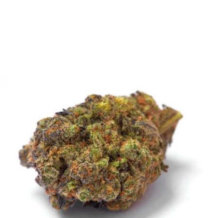 Wifi Punch | Feminized | Growerschoice Seeds