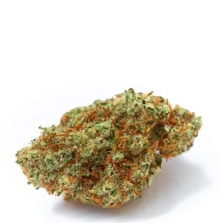 White Fire OG | Feminized | Growerschoice Seeds