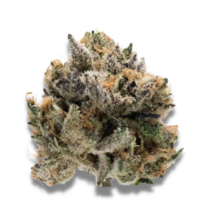 Tropical Cookies | Feminized | Growerschoice Seeds