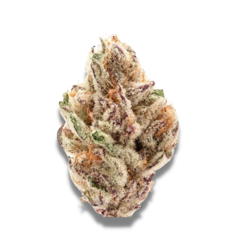 Sour Zkittlez | Feminized | Growerschoice Seeds