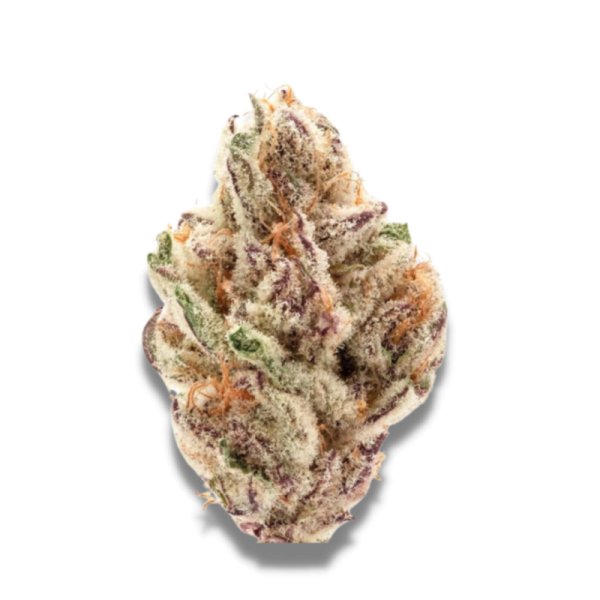 Sour Zkittlez | Growerschoice Seeds | Feminized