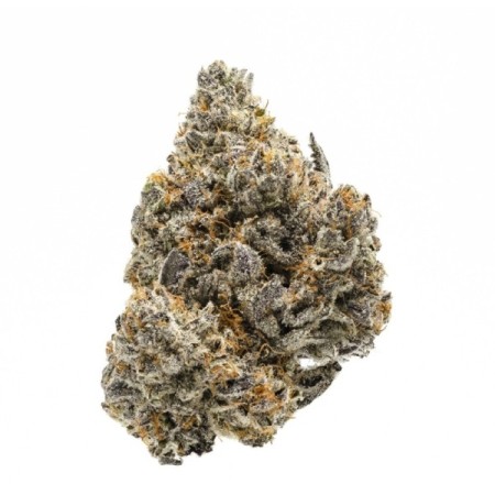 Rainbow Runtz | Feminized | Growerschoice Seeds