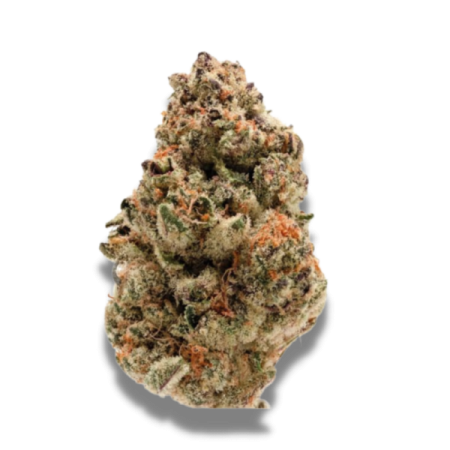 Rainbow Candy | Feminized | Growerschoice Seeds