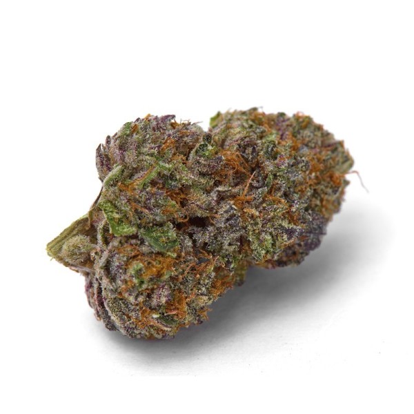 Purple Dosi Punch | Growerschoice Seeds | Feminized