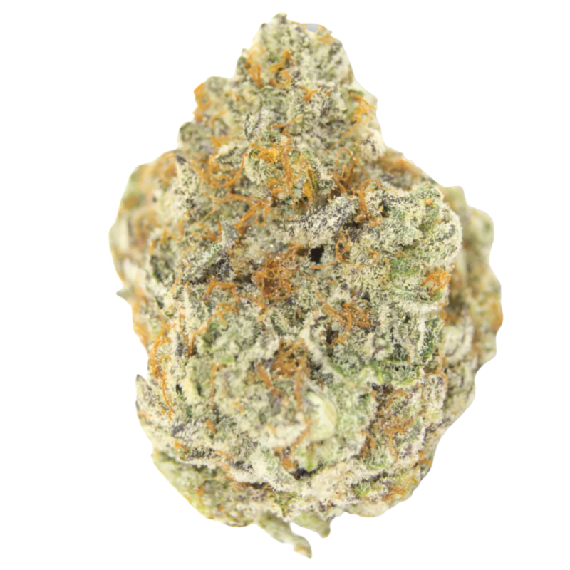 Permanent WhiteMarker | Feminized | Growerschoice Seeds