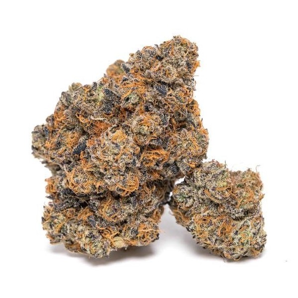 King Louis Garcia | Growerschoice Seeds | Feminized
