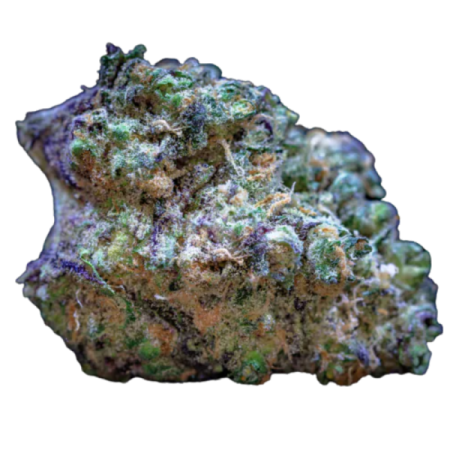 Frozen Cherry Runtz | Feminized | Growerschoice Seeds