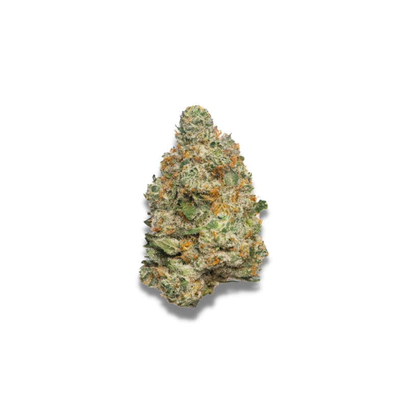 Apple Fritter  | Autoflowering | Growerschoice Seeds