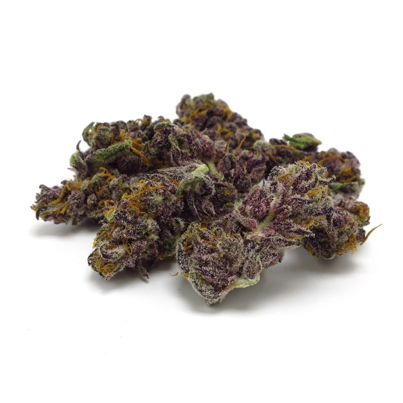 Blue Diesel  | Autoflowering | Growerschoice Seeds