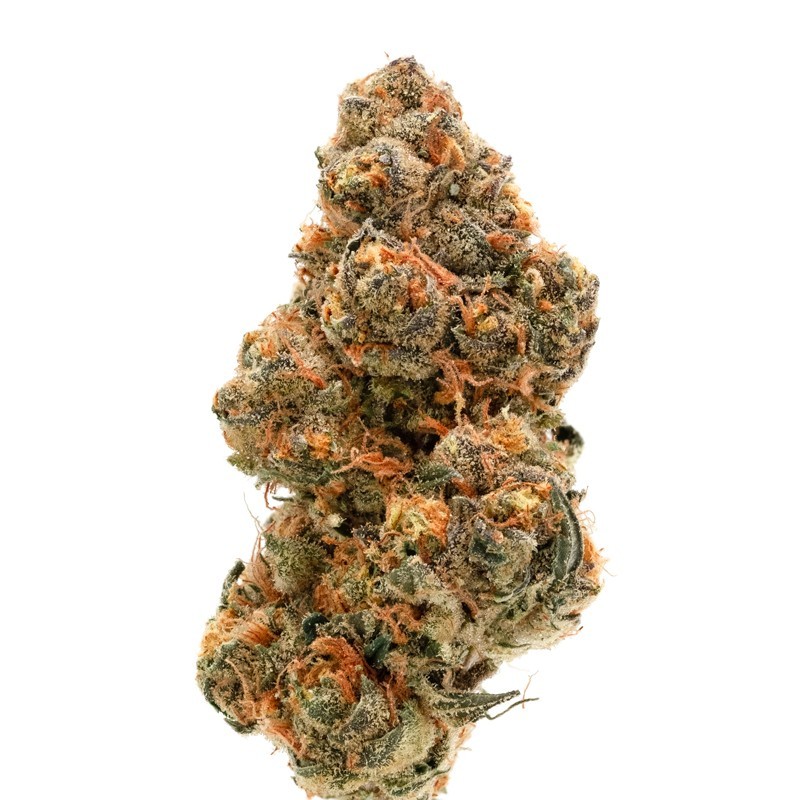 Double xl Weddingcake x Frosty Gelato | Autoflowering | Growerschoice Seeds