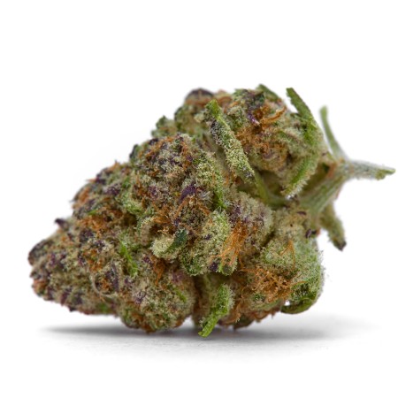 Purple Sunset  | Autoflowering | Growerschoice Seeds