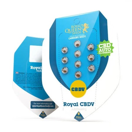 Royal CBD | Royal Queen SeedsV Automatic | CBD | Royal Queen Seeds