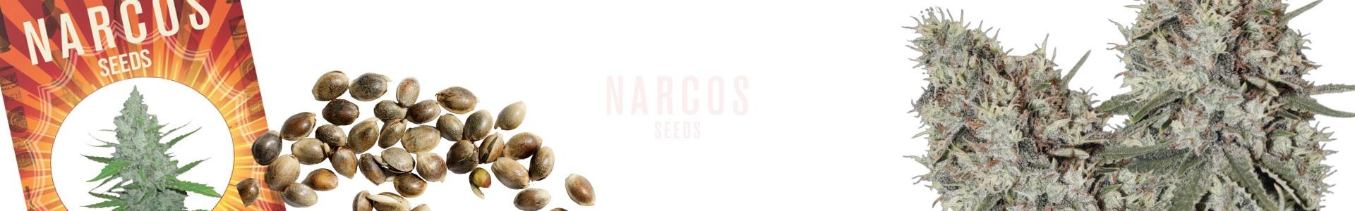 Narcos Seeds