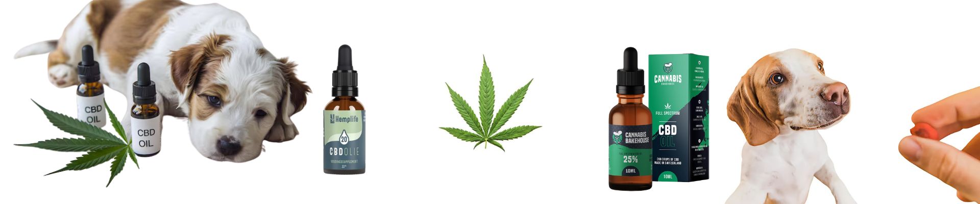 CBD voor Dieren