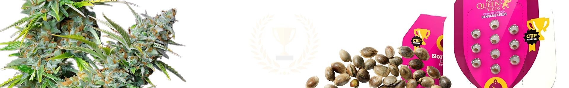 Top 10 Indica Wietzaden