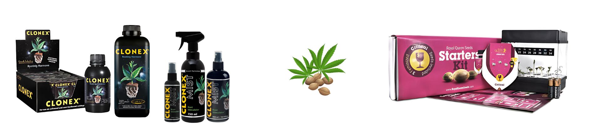 Ontkiemen, Zaaien & Stekken