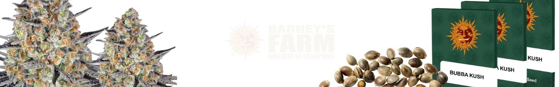 Barney's Farm