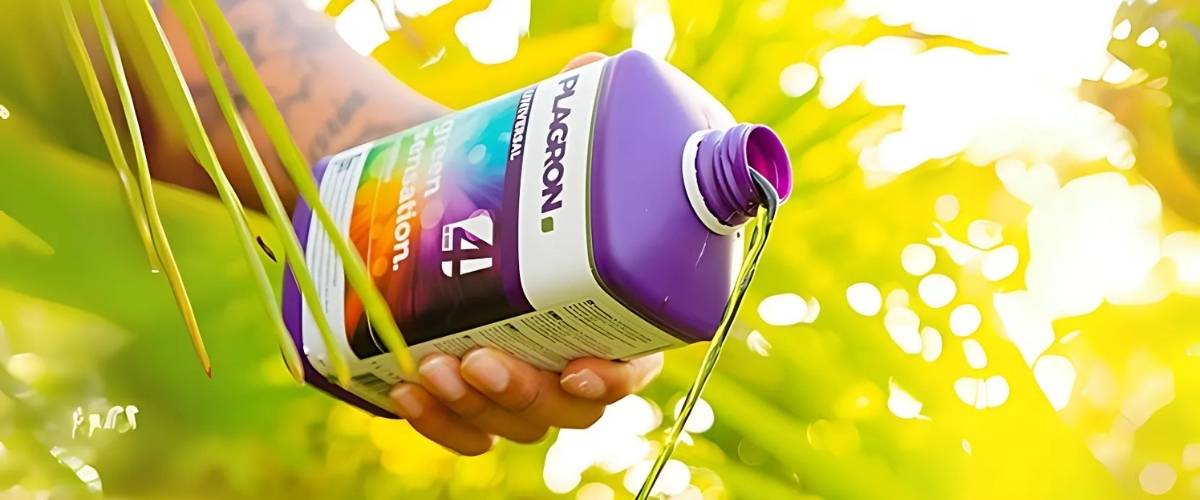 Green Sensation gebruiken tijdens je thuiskweek van wietplanten