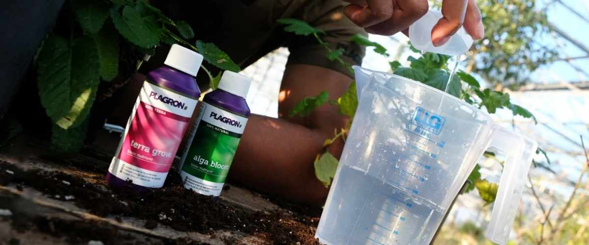 Plagron Algro grow & Terra Grow