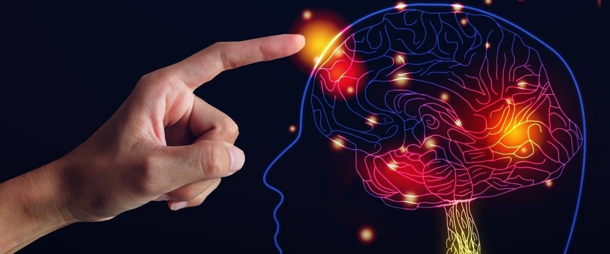 Wat gebeurt er in je hoofd tijdens een trip?