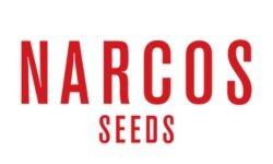 Narcos Seeds
