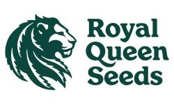Royal Queen Seeds