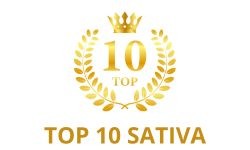 Top 10 Sativa Wietzaden