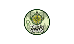 Vision Seeds