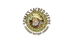 Soma Sacred Seeds