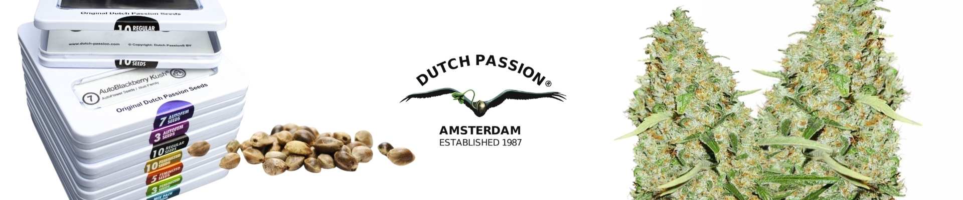 Dutch Passion Seeds
