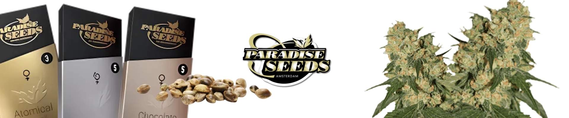 Paradise Seeds