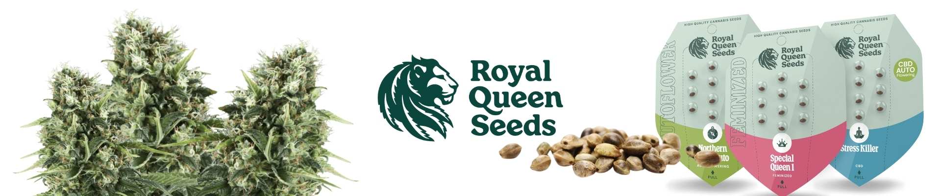 Royal Queen Seeds