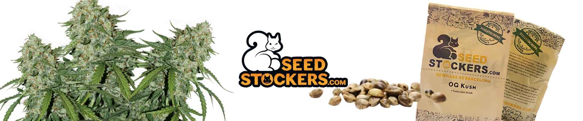 Seedstockers