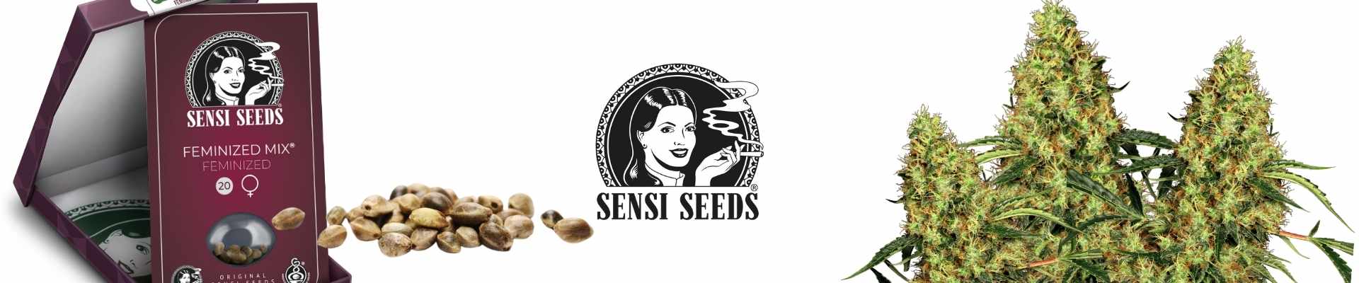 Sensi Seeds