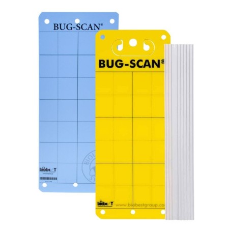 Vangstrip / Plakstrip 10st/pak | Geel & Blauw