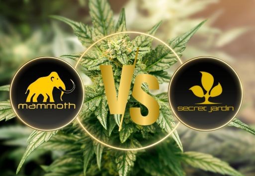 Mammoth vs Secret Jardin Kweektenten: Onze Ervaringen en Advies
